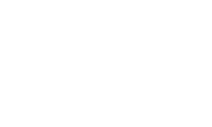 Arena Sports Media